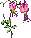 Fleur 32