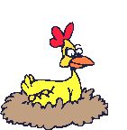 Poule